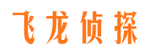 红岗市私人侦探